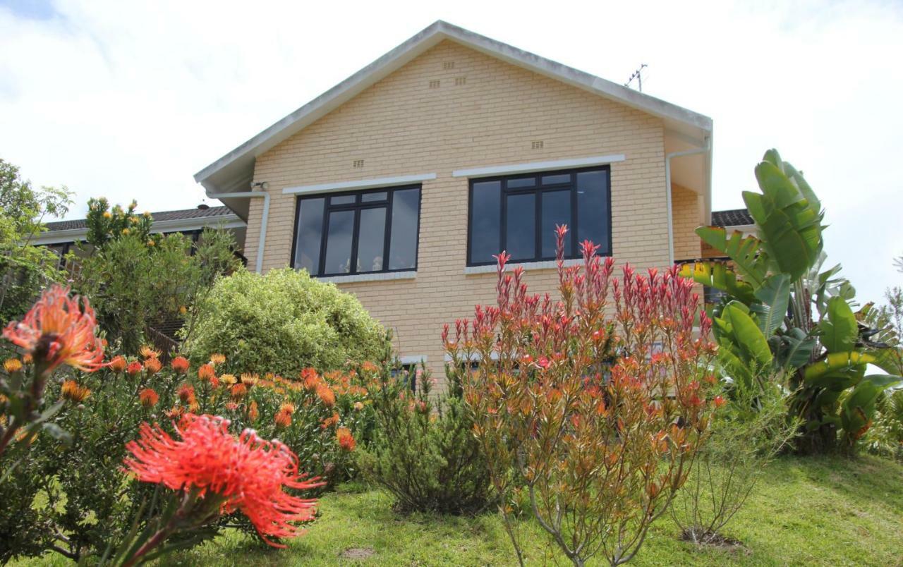 Garden Cottage In Ambiente Guest House Knysna Exterior foto