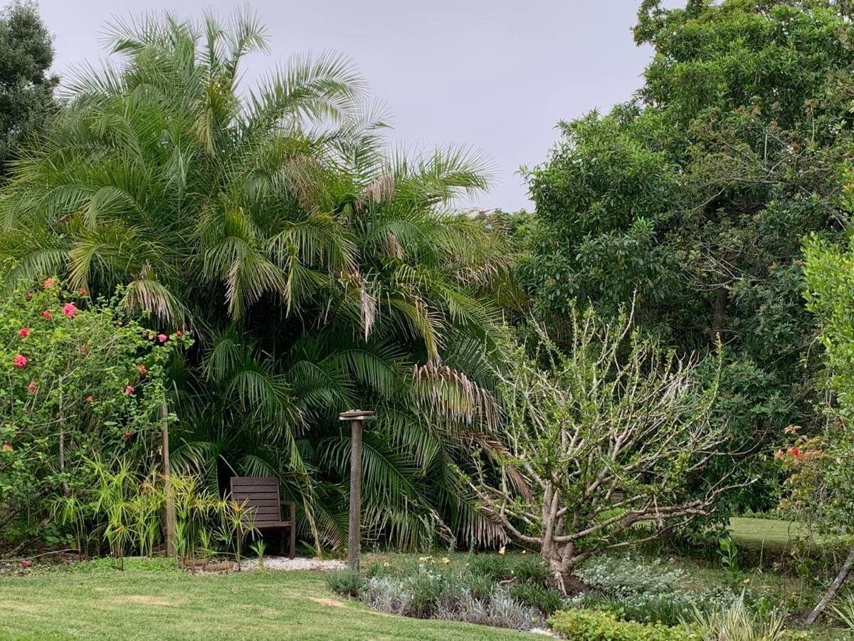 Garden Cottage In Ambiente Guest House Knysna Exterior foto